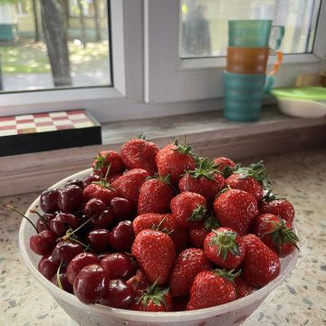 Солнце, воздух и вода — наши лучшие друзья!