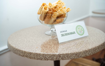 &laquo;Семья &ndash; главная ценность&raquo;: на Западно-Сибирской железной дороге наградили победителей проекта "Семейные ценности и традиции 2025"