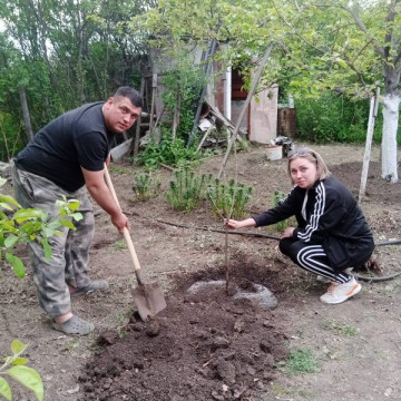 Дерево для детей!