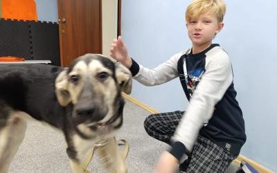 Рубрика «Семейные встречи» г. Челябинск. Центр канистерапии «Хвостатый ангел».