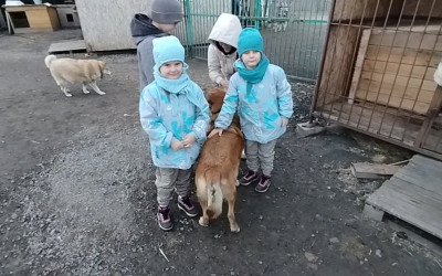 Акция «Доброе сердце» г. Курган, г. Челябинск.