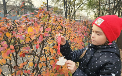 Мастер класс «Кормушка для белочек и птиц»