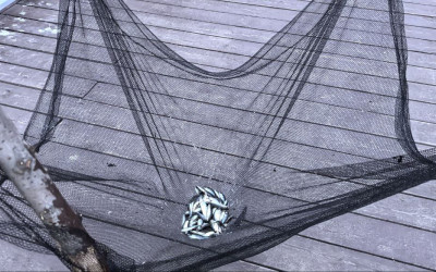 Рубрика «Семейные встречи» г. Челябинск. Удочки, улов и улыбки: как семьи проекта ловили настроение на осенней рыбалке.