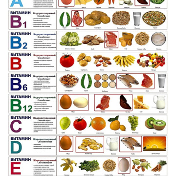 Витаминная шпаргалка