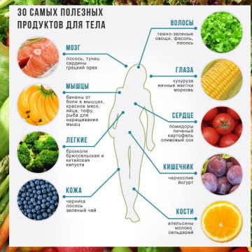 Здоровое питание - путь к счастливой жизни на долгие годы.