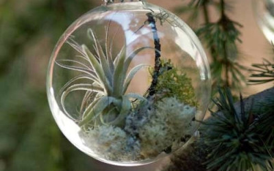 Семейные ценности в новогодних шарах: душевная встреча, полная тепла и вдохновения