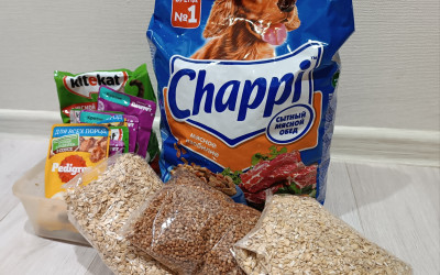 Мастер-класс «Своим нужно помогать»: семьи из Кирова и Казани осваивают искусство волонтерства