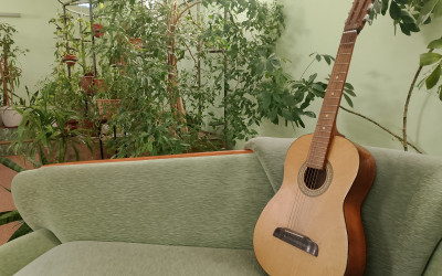 Семейный концерт среди зелени: участники проекта устроили душевный вечер с гитарой в зимнем саду.