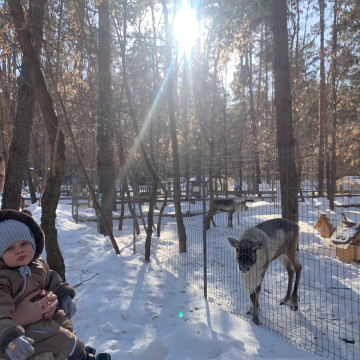 Люблю тебя, мой край родной! Ульяновск - это родина моя!