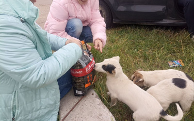 "Доброе сердце РЖД"