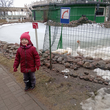 Финский залив, Репино посёлок, гостиница Репинская Город Севастополь