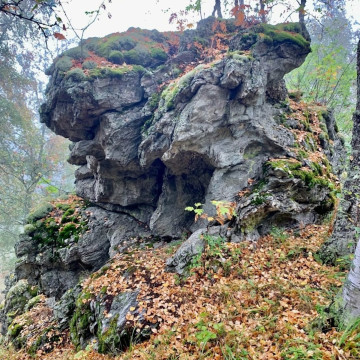 Люблю тебя,мой край родной.