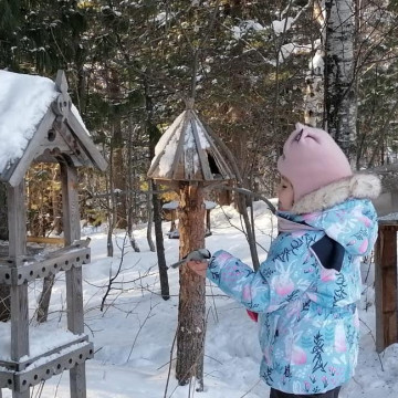 За птицей с фотоаппаратом