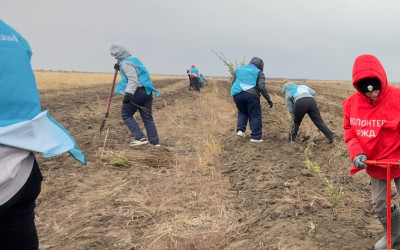 Участие Южноуральцев во Всероссийской экологической  акции  «Сохраним лес» 