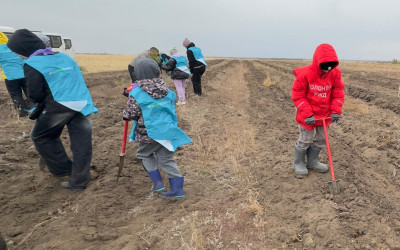 Участие Южноуральцев во Всероссийской экологической  акции  «Сохраним лес» 
