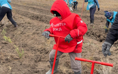 Участие Южноуральцев во Всероссийской экологической  акции  «Сохраним лес» 